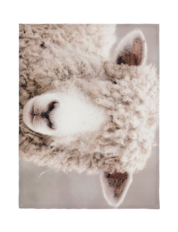 Photographic Sheep Print Tea Towel Image 1 of 1