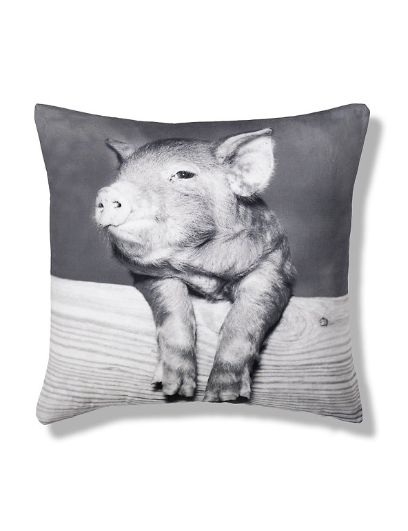 Pig Print Cushion Image 1 of 2