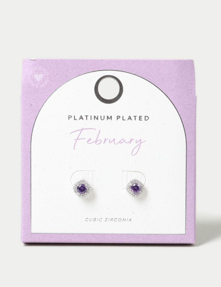 Platinum Plated Cubic Zirconia February Birthstone Stud Earring 1 of 2