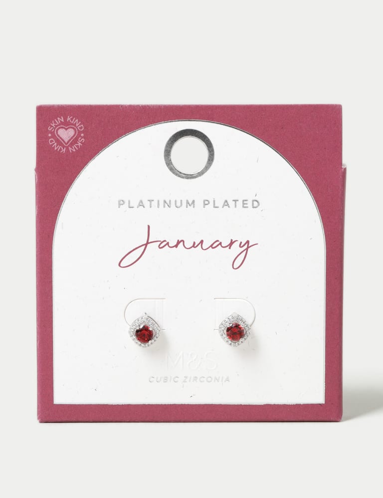 Platinum Plated Cubic Zirconia January Birthstone Stud Earring 1 of 3