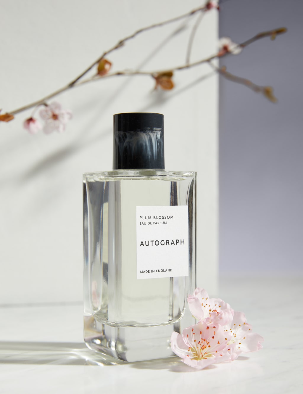 Plum cheap blossom cologne