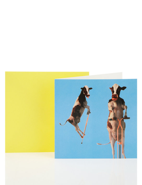 Pogo Cows Blank Greetings Card Image 1 of 1