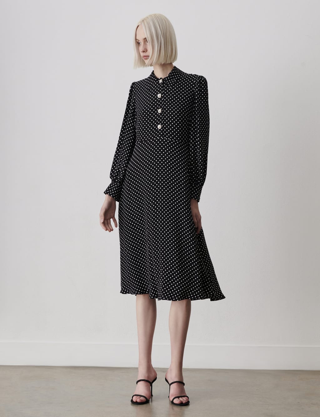 Polka Dot Midi Waisted Dress 3 of 4