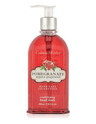 Pomegranate Conditioning Hand Wash 250ml Image 1 of 1
