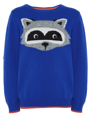 Pure Cashmere Raccoon Jumper | M&S