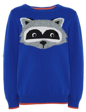 Pure Cashmere Raccoon Jumper Image 2 of 7