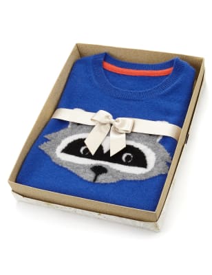 Raccoon jumper hot sale