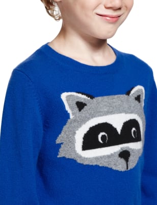 Racoon jumper hot sale