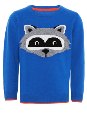 Pure Cashmere Raccoon Jumper with Hat Image 2 of 7