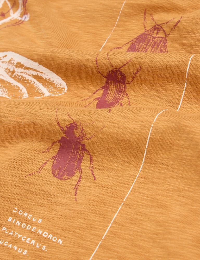 Pure Cotton Beetle Graphic T-Shirt 6 of 6