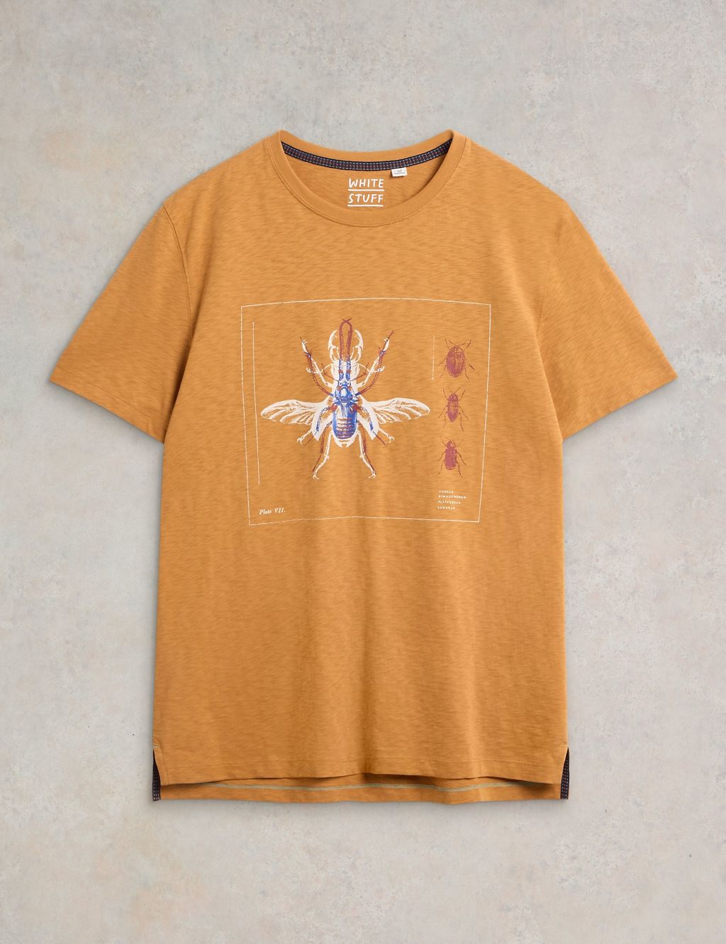 Pure Cotton Beetle Graphic T-Shirt 1 of 6