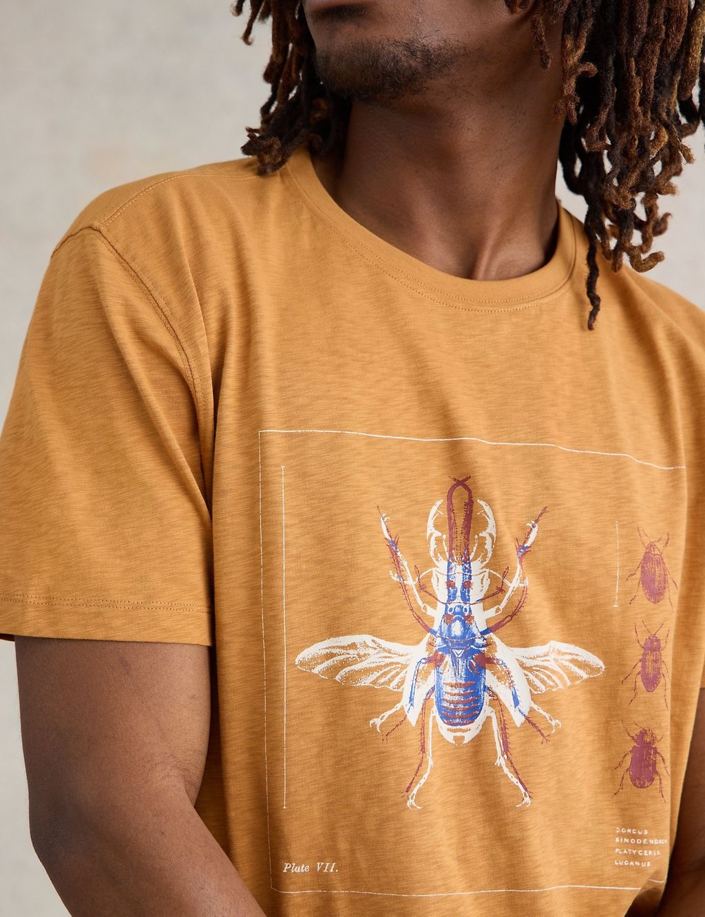 Pure Cotton Beetle Graphic T-Shirt 3 of 6