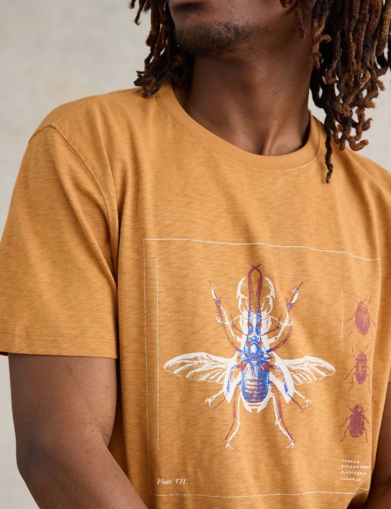 Pure Cotton Beetle Graphic T-Shirt 1 of 6