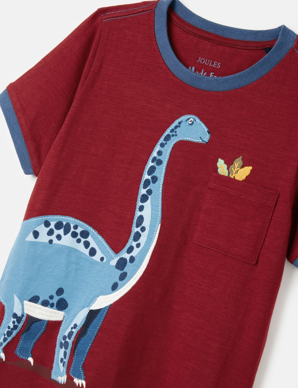 Pure Cotton Dinosaur Applique T-Shirt (2-8 Yrs) 2 of 5