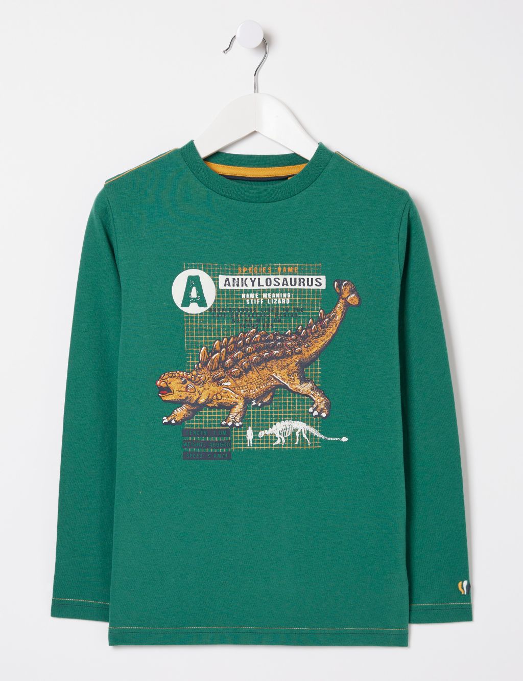 Pure Cotton Dinosaur Graphic T-Shirt (3-13 Yrs) 1 of 4