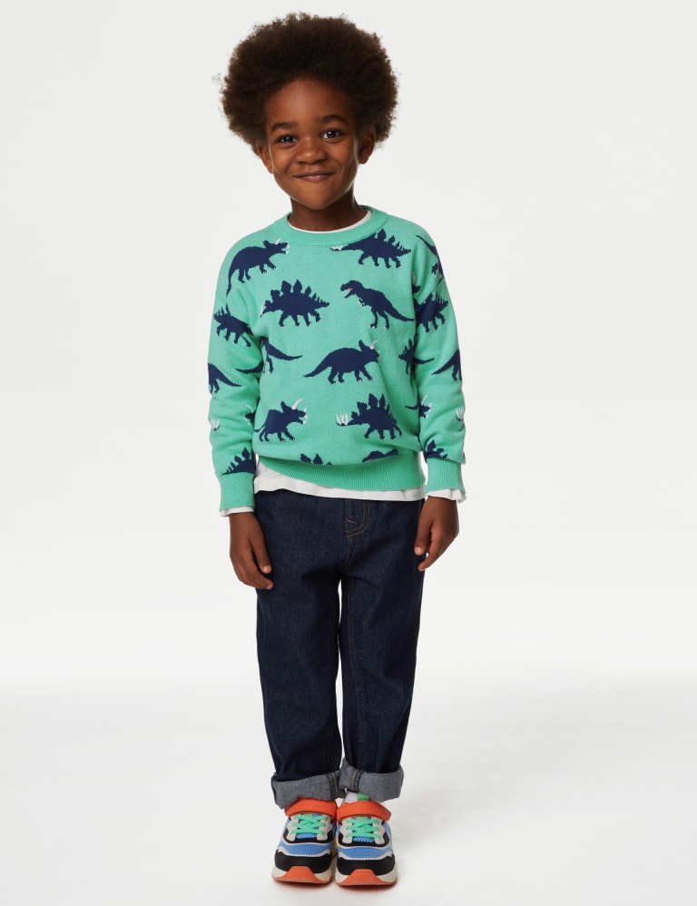 Dinosaur jumper boy sales