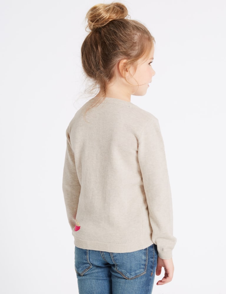 Dinosaur sequin clearance jumper