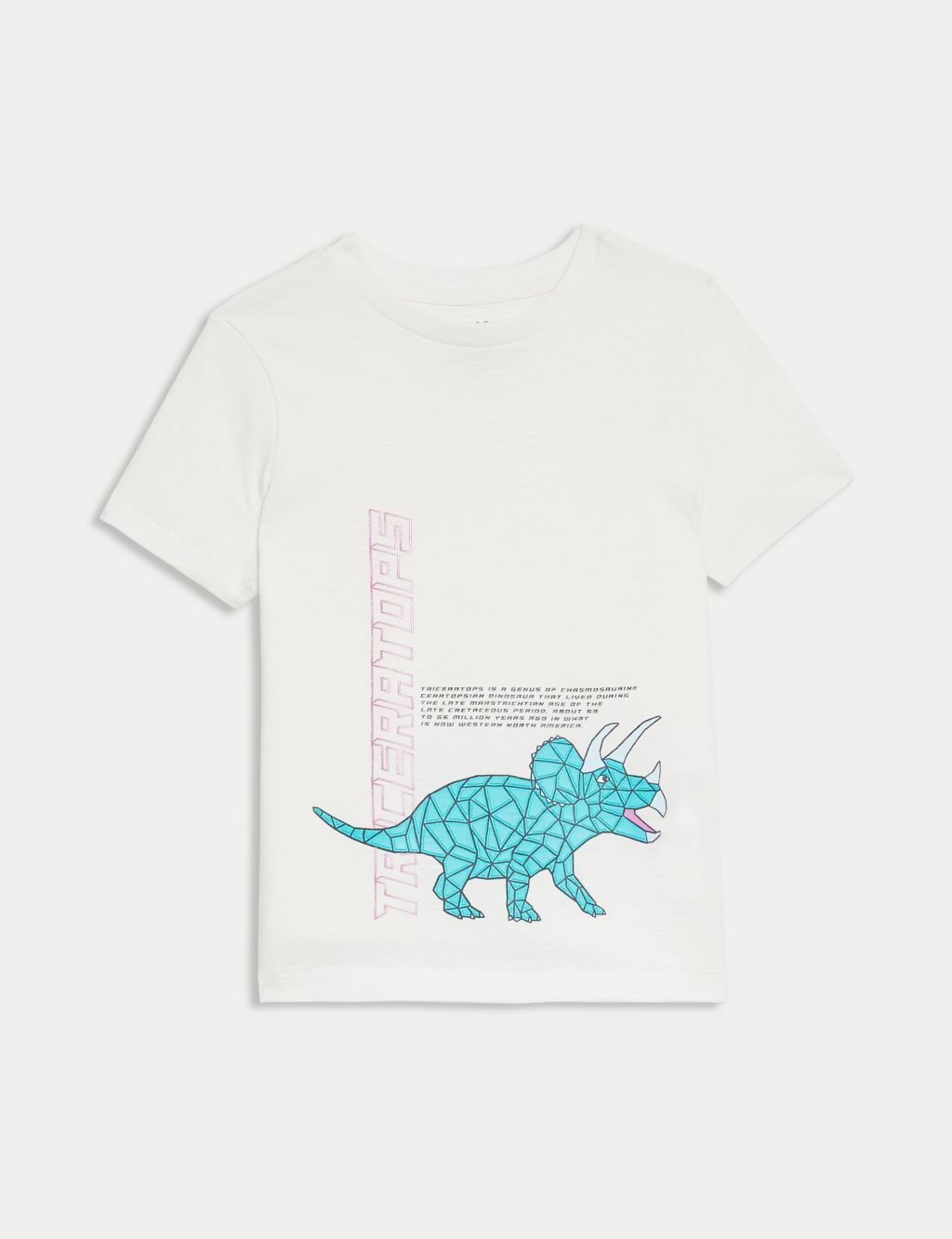 Pure Cotton Dinosaur T-Shirt (2-8 Yrs) 1 of 2