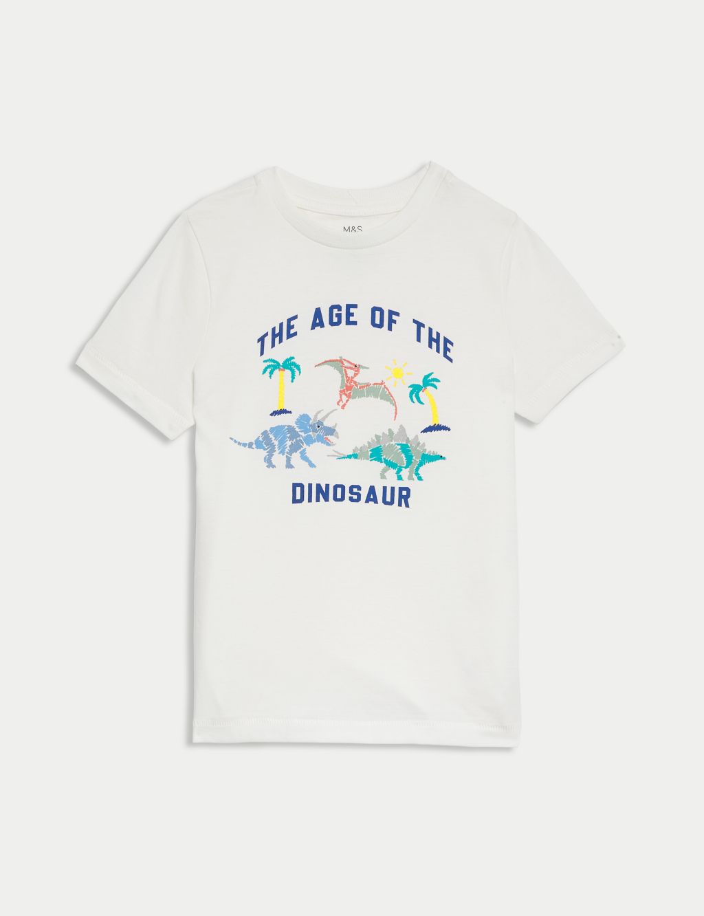 Pure Cotton Dinosaur T-Shirt (2–8 Yrs) 1 of 1