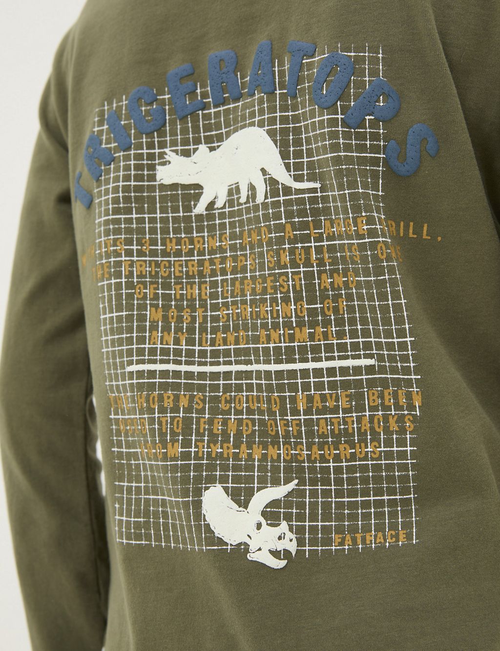 Pure Cotton Dinosaur T-Shirt (3-13 Yrs) 5 of 6