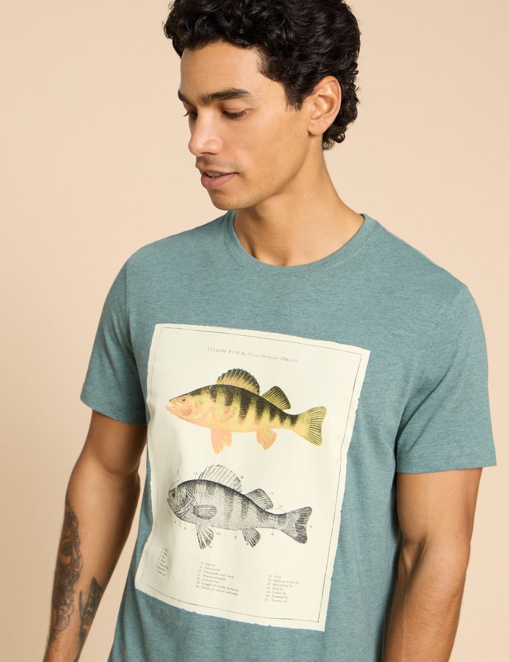 Pure Cotton Fish Graphic Crew Neck T-Shirt, White Stuff