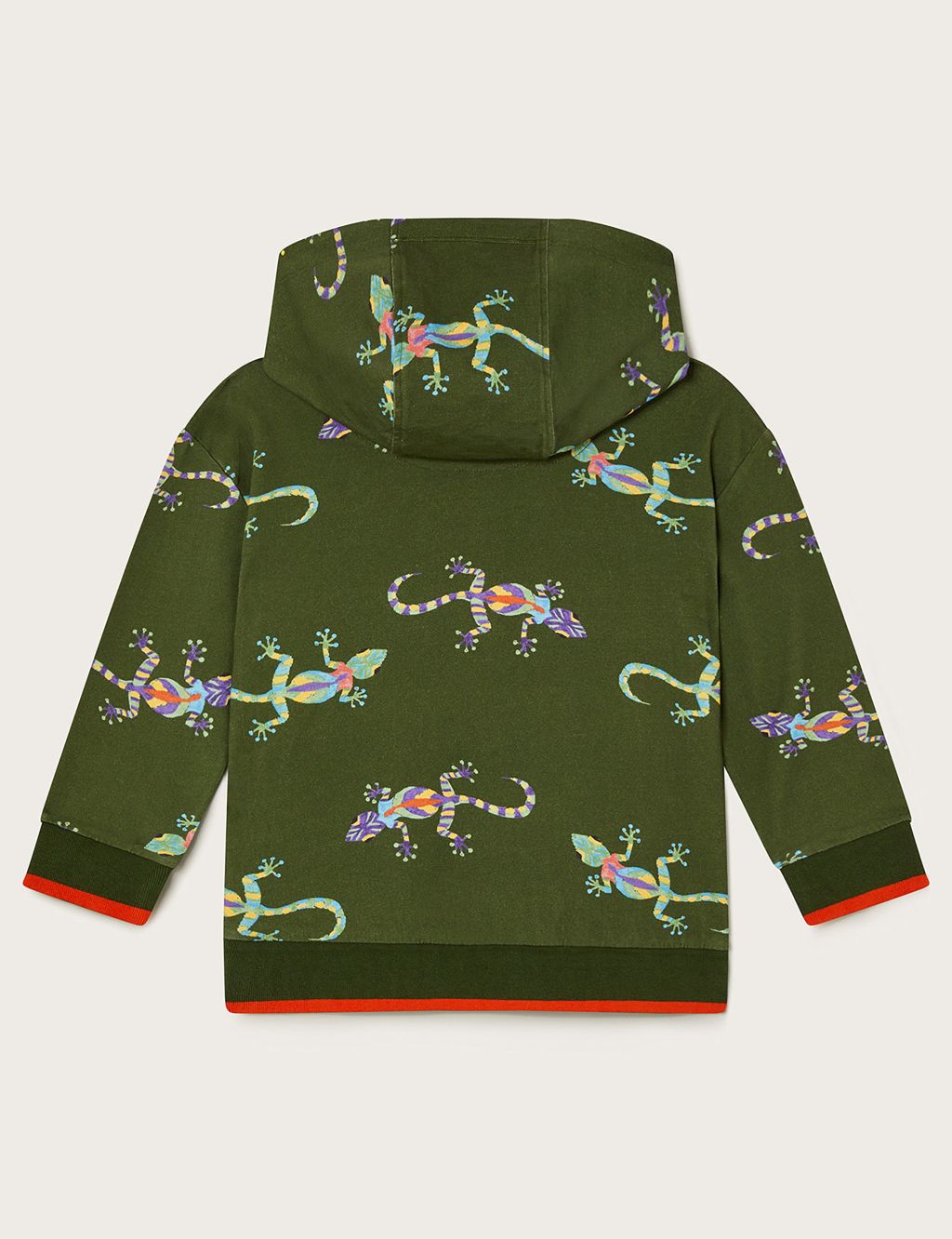 Pure Cotton Gecko Hoodie (3-13 Yrs) 1 of 3