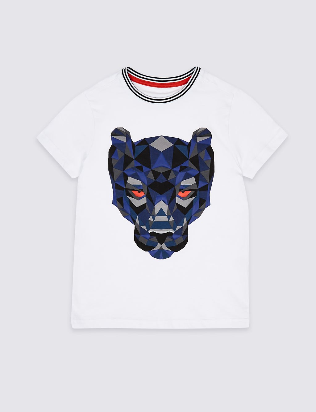 Pure Cotton Graphic T-Shirt (3-16 Years) 1 of 3