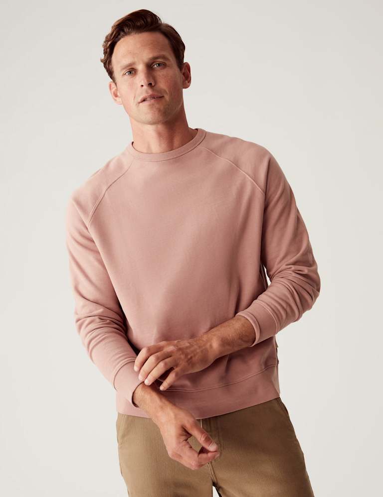 Pure Cotton Raglan Crew Neck Sweatshirt 3 of 5