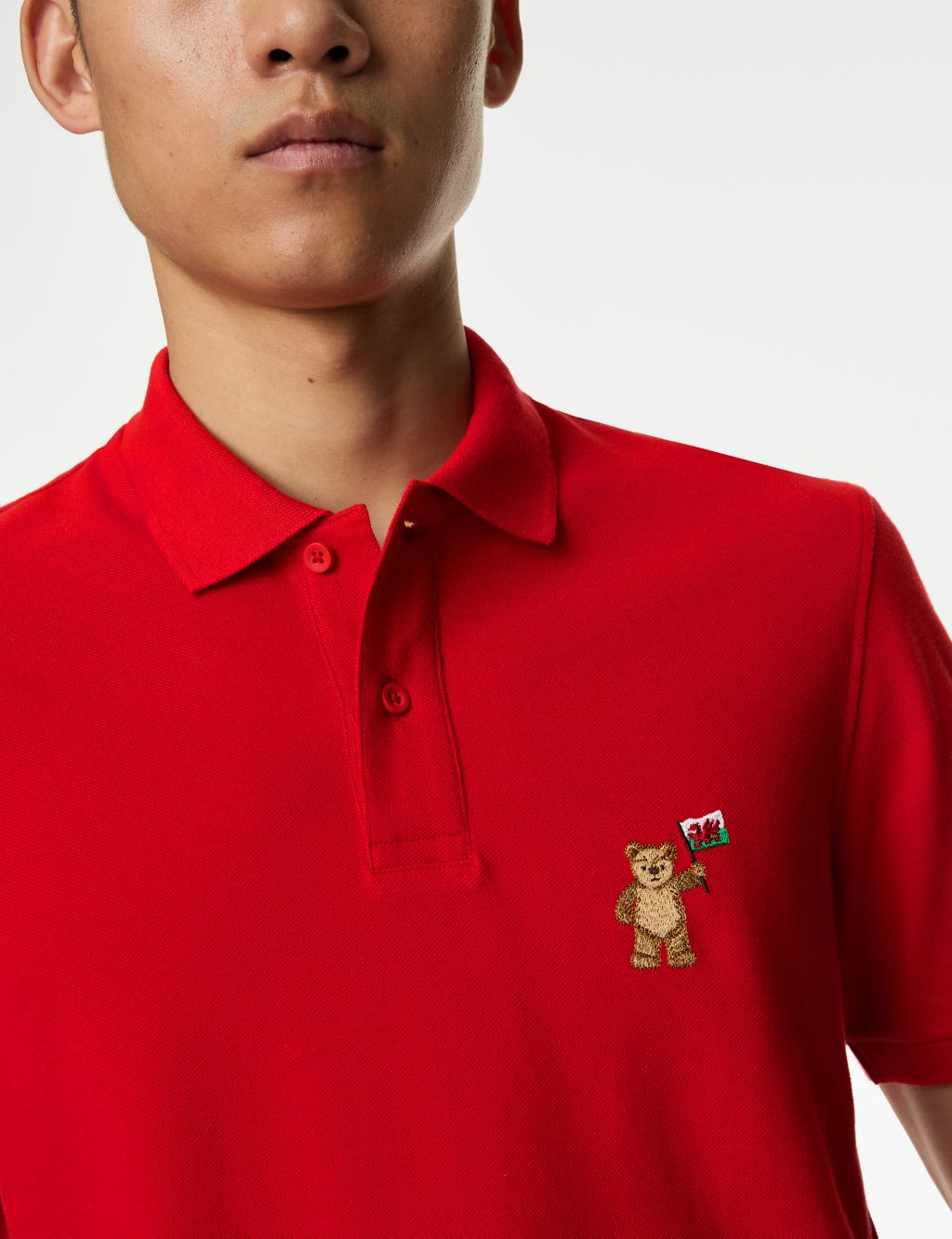 Pure Cotton Spencer Bear™ Wales Polo Shirt 3 of 6