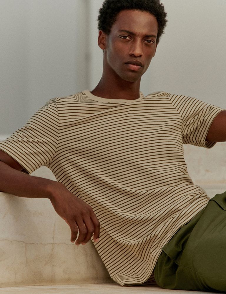 Pure Cotton Striped Crew Neck T-Shirt 1 of 7