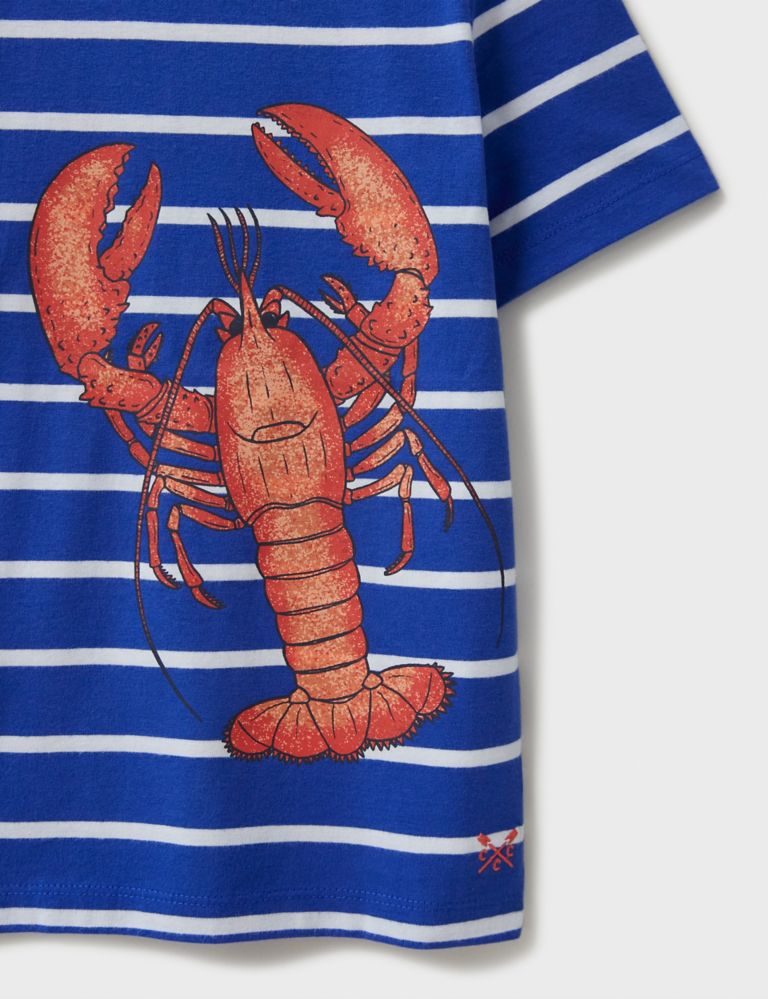 Pure Cotton Striped Lobster T-Shirt (3-9 Yrs) 3 of 4