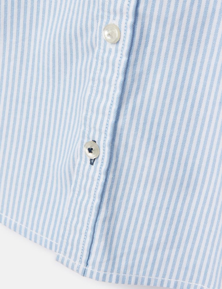 Pure Cotton Striped Oxford Shirt 5 of 6