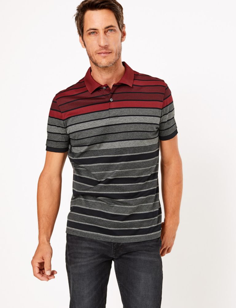 Pure Cotton Striped Polo Shirt 3 of 4