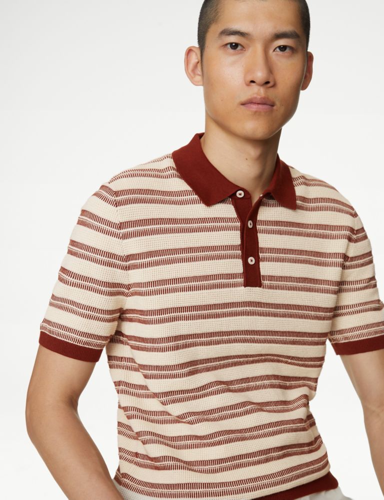 Pure Cotton Textured Striped Knitted Polo Shirt 4 of 5
