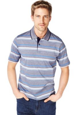 Pure Cotton Varied Striped Polo Shirt Image 1 of 1