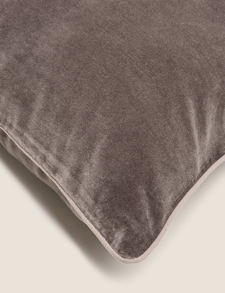 Pure Cotton Velvet Cushion 4 of 5