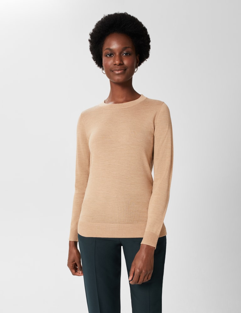 Pure Merino Wool Crew Neck Jumper | HOBBS | Mu0026S