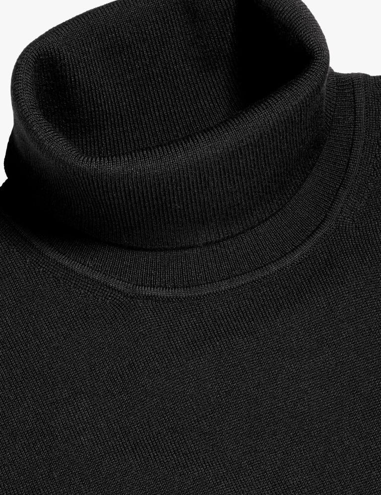 Pure Merino Wool Roll Neck Jumper 4 of 5