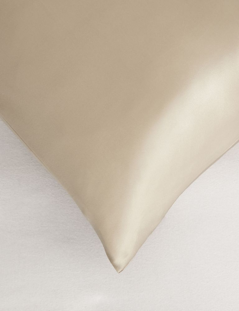 Pure Silk Pillowcase 3 of 4