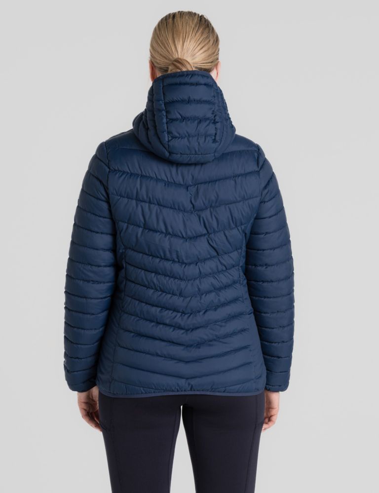 Quilted Hooded Jacket 3 of 7