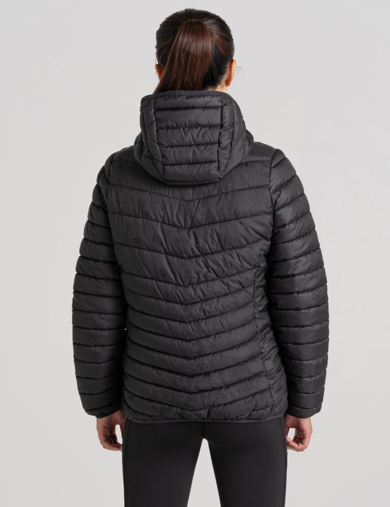 Quilted Hooded Jacket 3 of 10