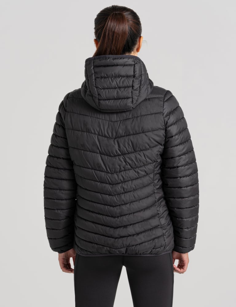 Craghoppers quilted jacket shop