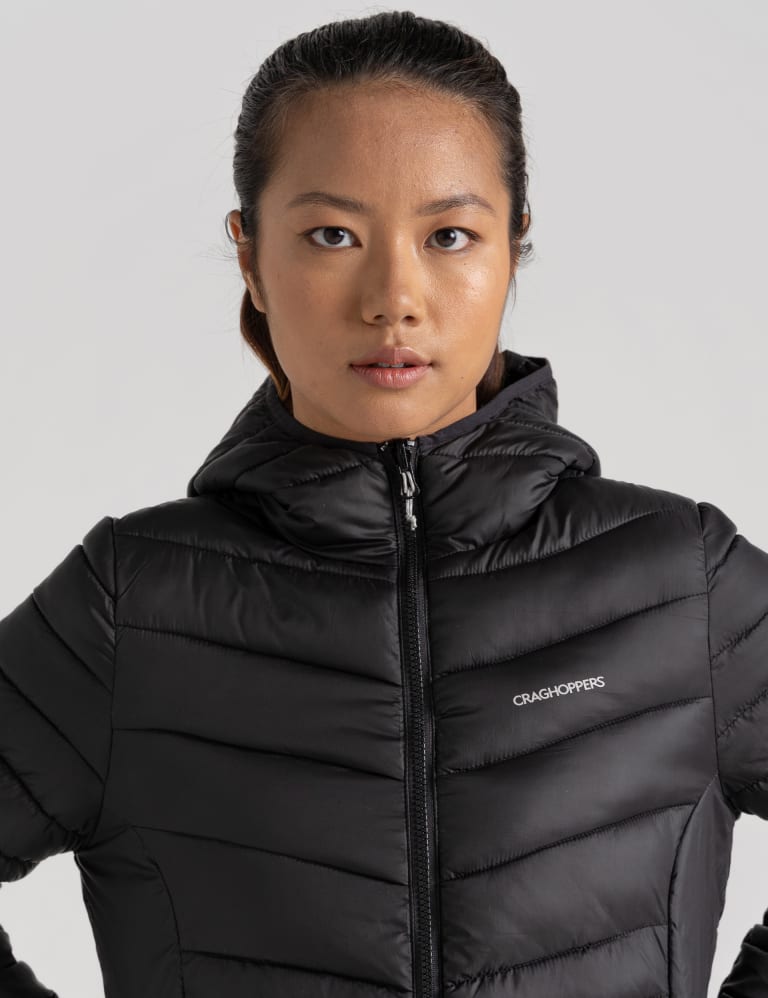 Quilted Hooded Jacket