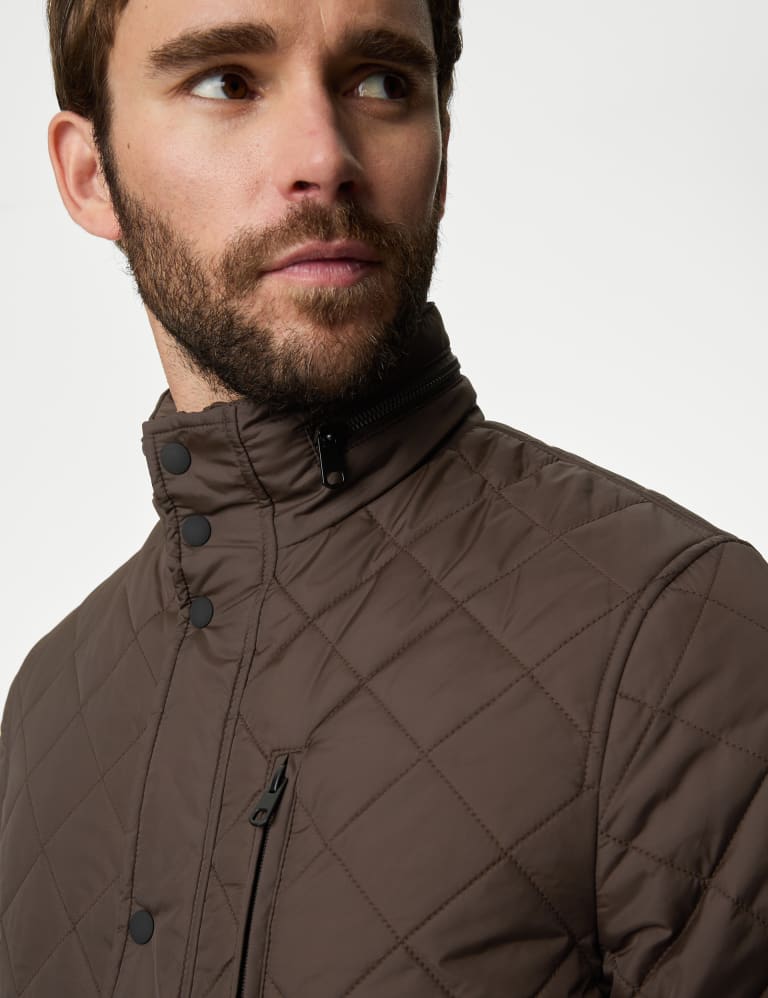 Quilted jacket new arrivals