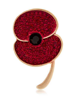 Small Poppy Brooch | M&S Collection | M&S