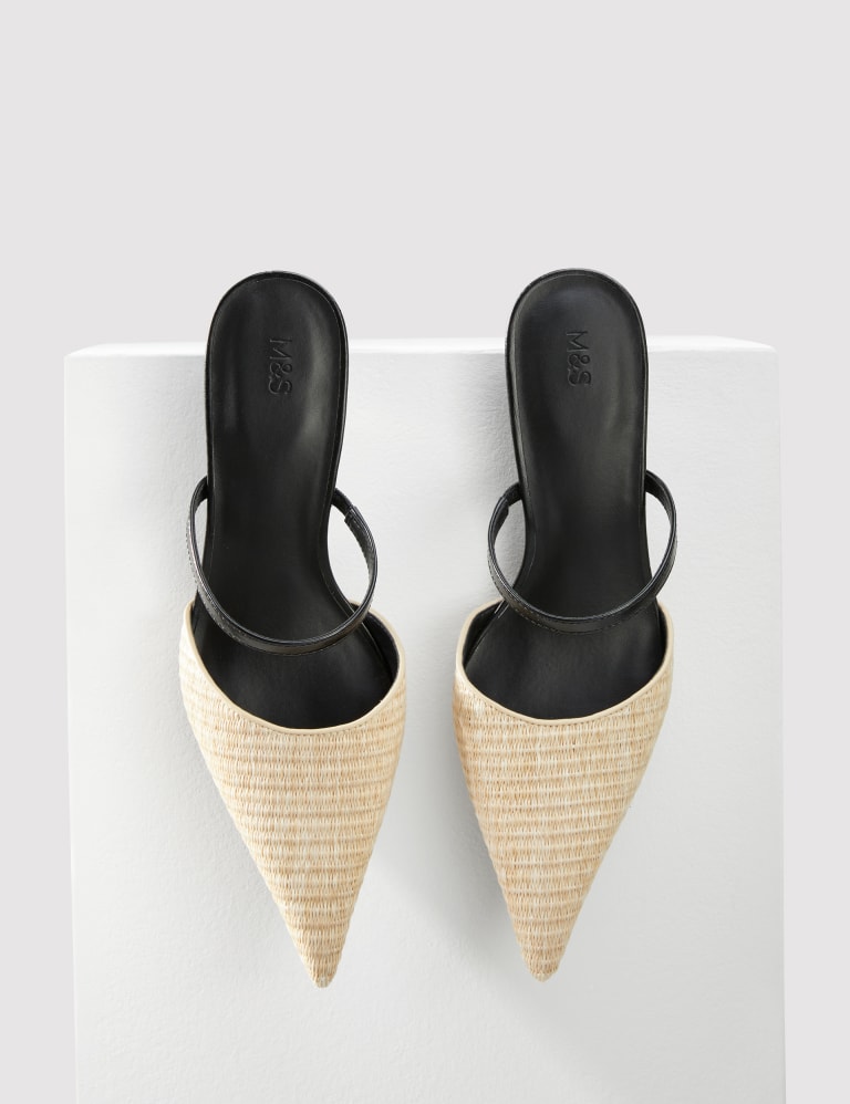 Raffia Kitten Heel Pointed Mules 1 of 3