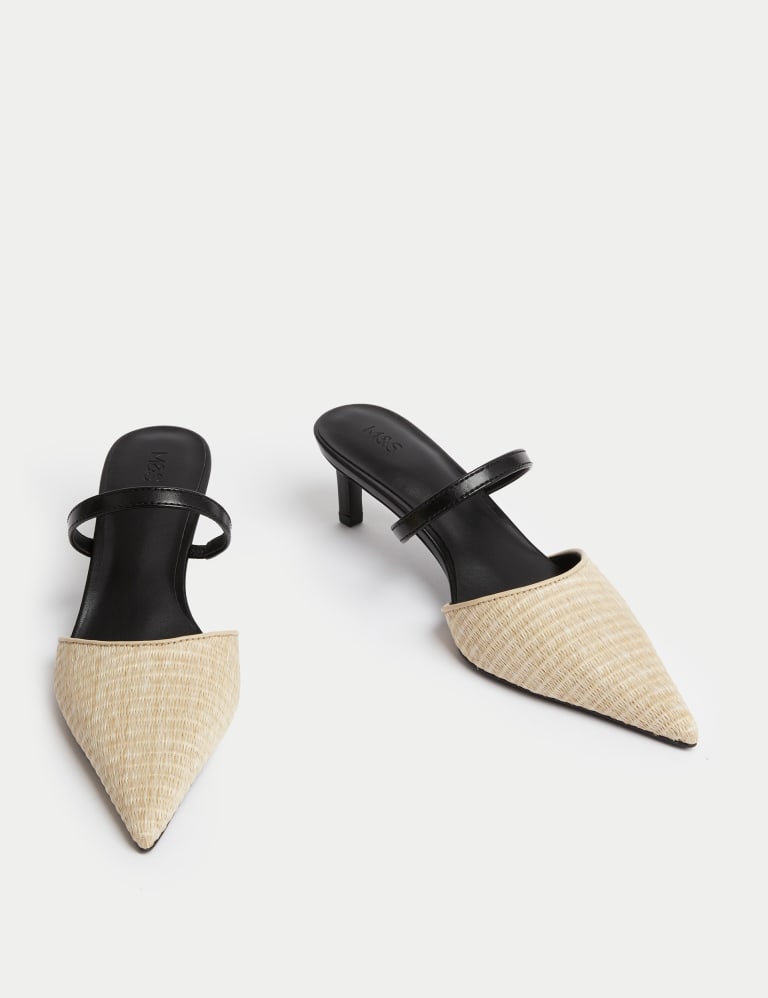 Raffia Kitten Heel Pointed Mules