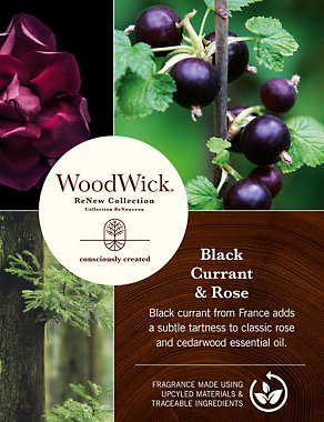 ReNEW Blackcurrant & Rose Large Jar Candle Image 2 of 5