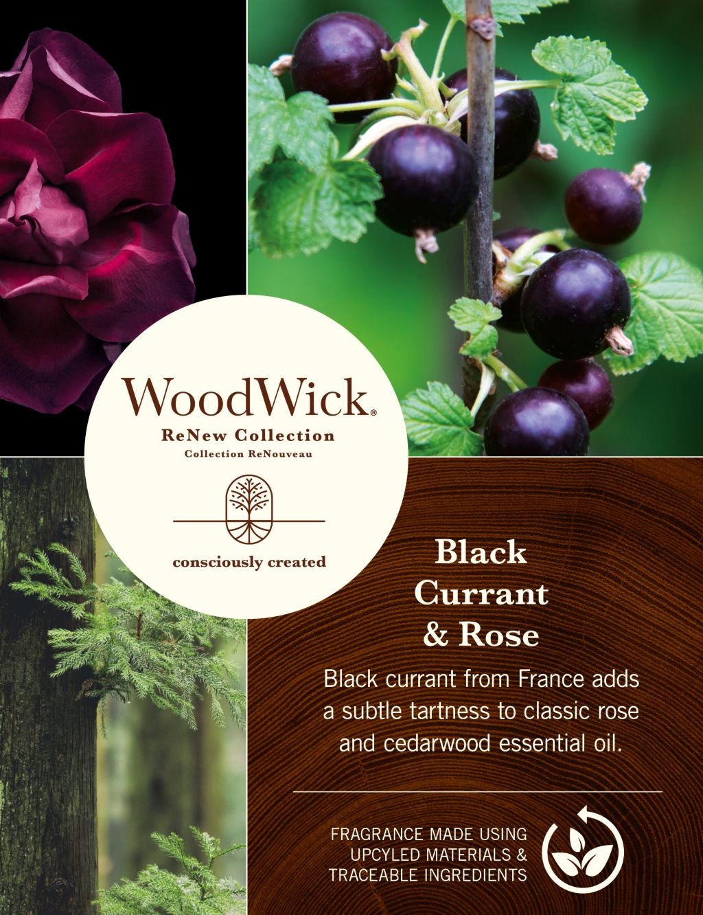 ReNEW Blackcurrant & Rose Large Jar Candle 1 of 5