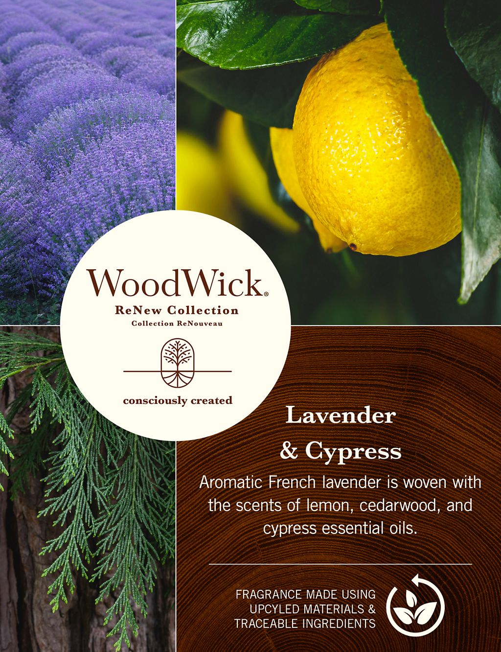 ReNew Lavender & Cypress Large Jar Candle 1 of 6